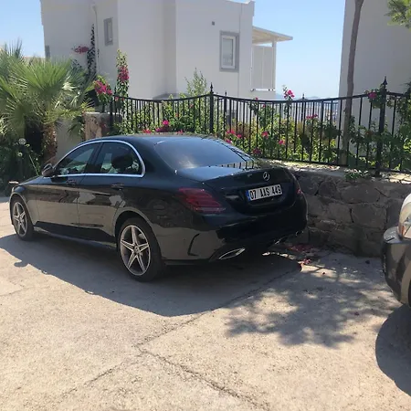 Villa Olive Bay